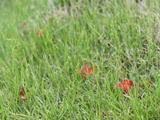 c0155198_22593921.jpg