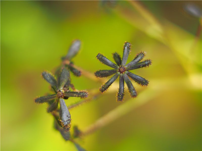 f0224100_20433769.jpg