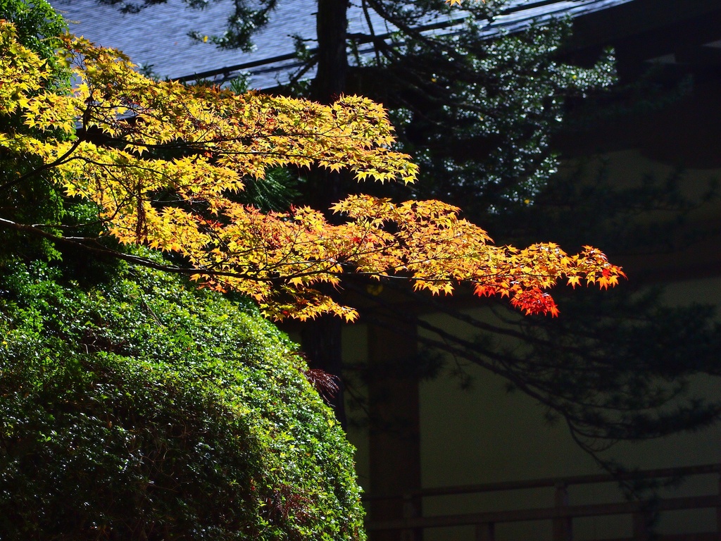 b0138101_04268.jpg