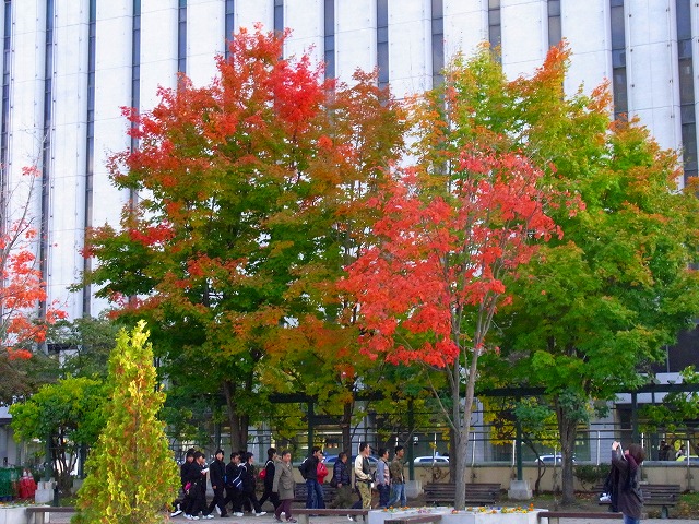f0157901_19522881.jpg