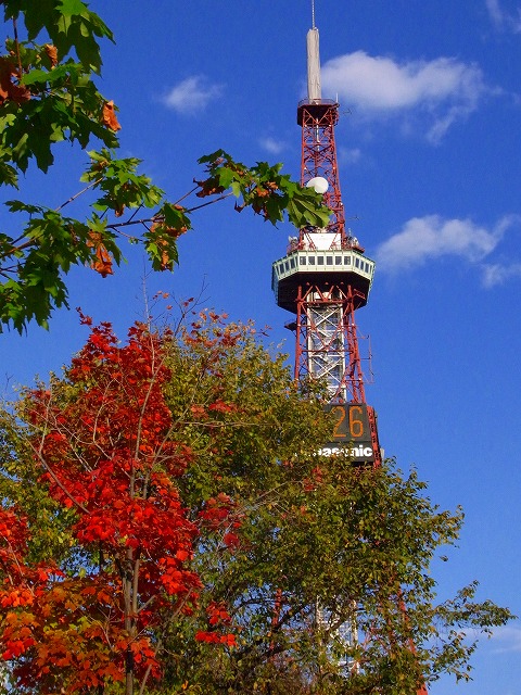 f0157901_1952430.jpg