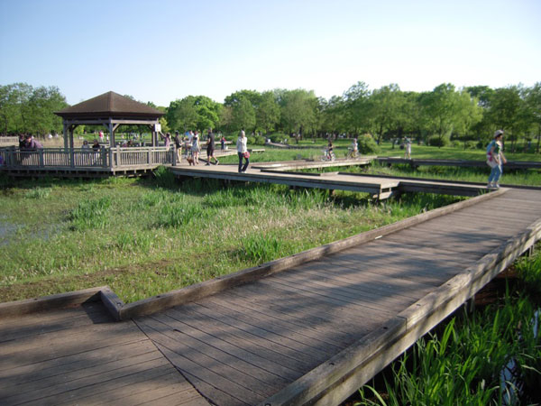 a0060003_7453939.jpg
