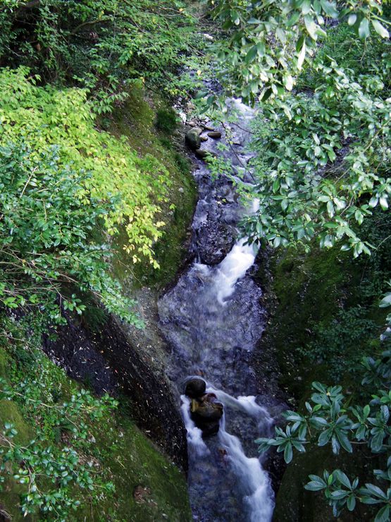c0187503_2217101.jpg