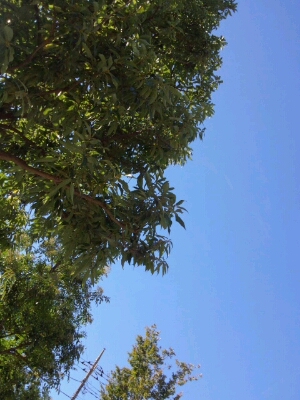 f0185804_10565893.jpg