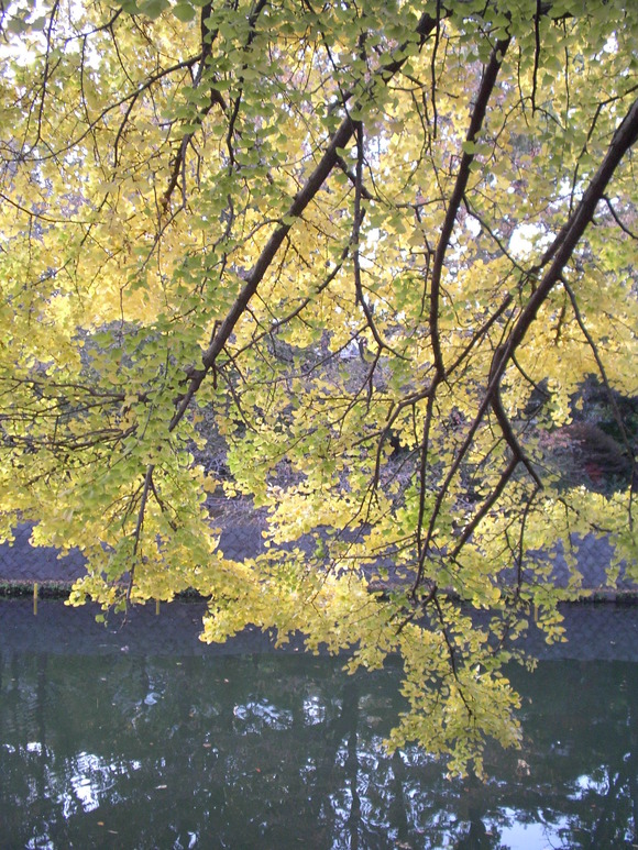 a0212807_714872.jpg