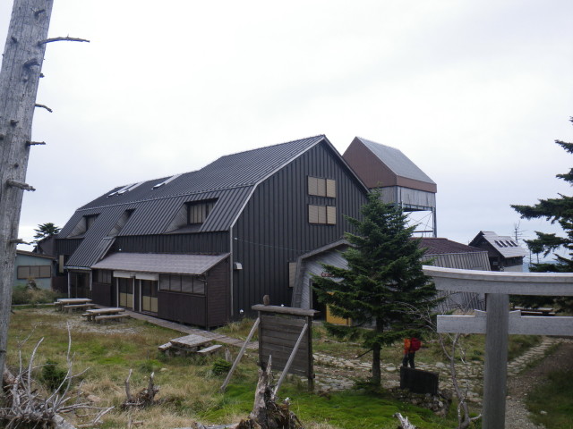 d0006512_00522.jpg