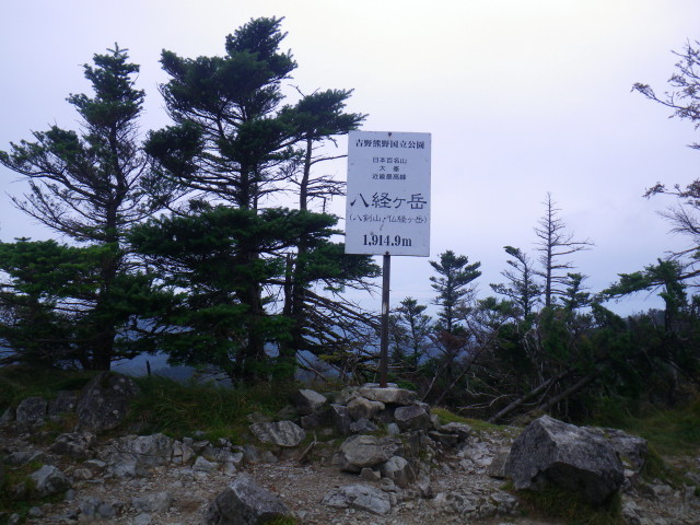 d0006512_03916.jpg