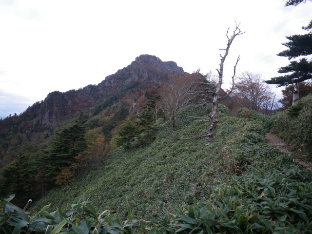 d0006512_18333810.jpg