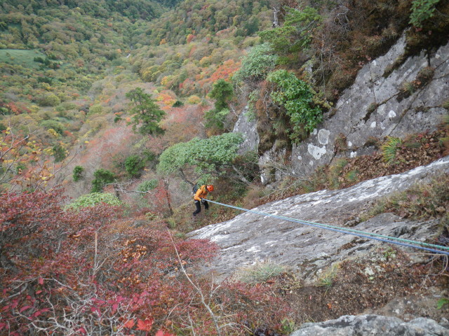d0006512_18411755.jpg