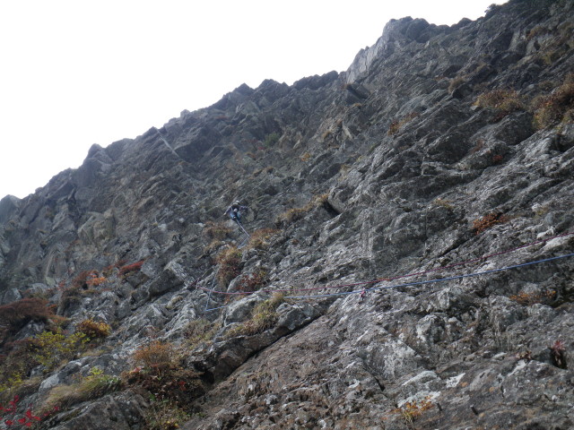 d0006512_18431743.jpg