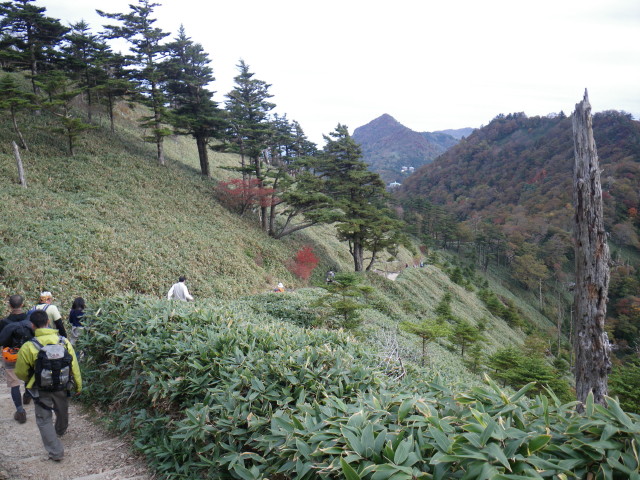 d0006512_1856645.jpg