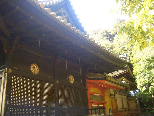 e0033713_10101668.jpg