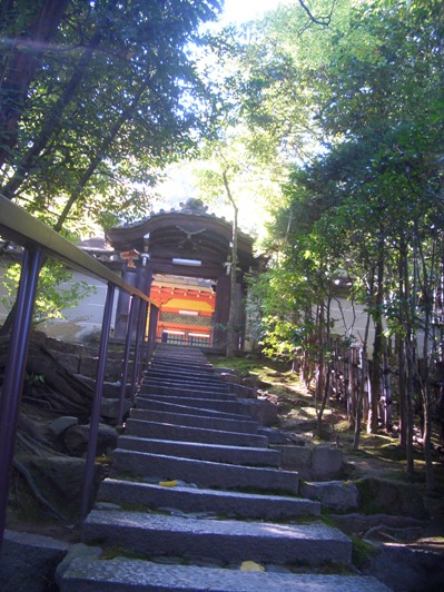 e0033713_10134896.jpg