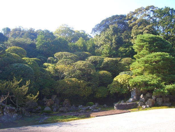 e0033713_10154328.jpg