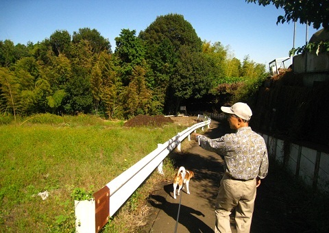 c0084117_17573122.jpg