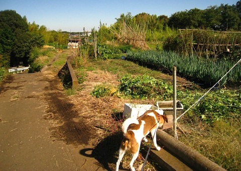 c0084117_17573150.jpg