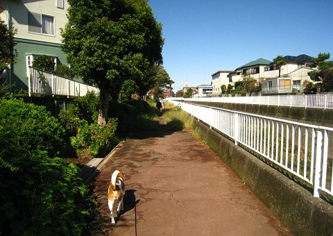 c0084117_17575776.jpg
