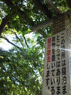 b0062522_1415622.jpg