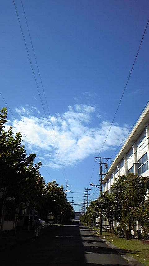 c0038722_1342957.jpg