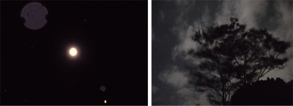 c0146127_1572443.gif