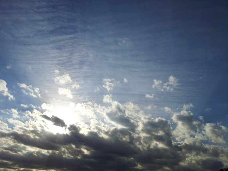 a0146431_16312278.jpg