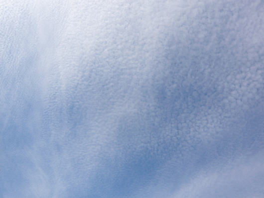 a0206332_1243698.jpg