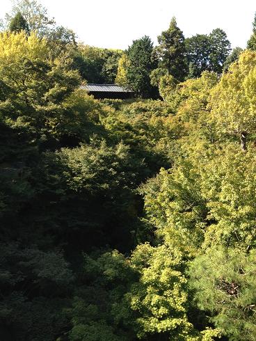c0081032_14422230.jpg