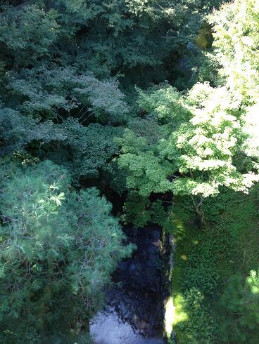 c0081032_14424046.jpg