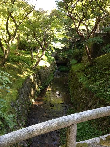 c0081032_1451076.jpg