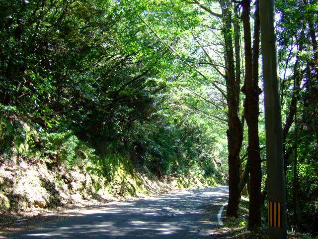 c0038334_20295856.jpg