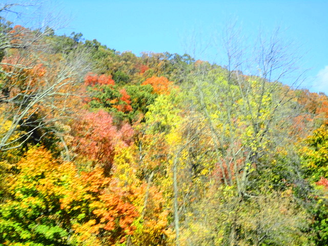 a0224537_6164542.jpg