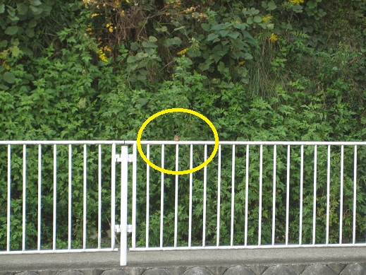 b0086939_1858266.jpg