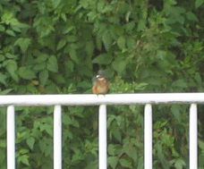 b0086939_1858551.png