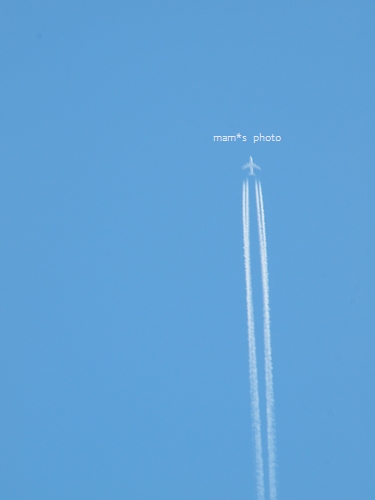 e0081339_2044159.jpg