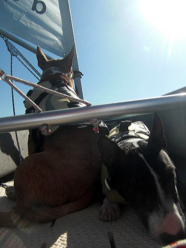 f0094843_12225512.jpg