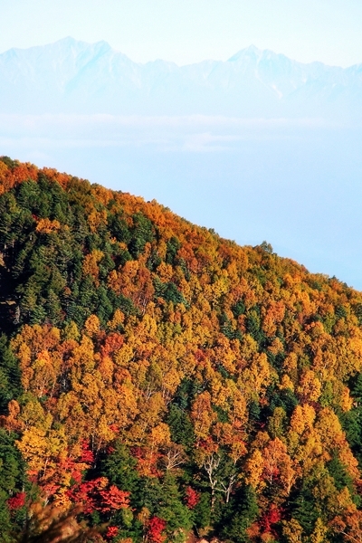 c0228945_51949.jpg