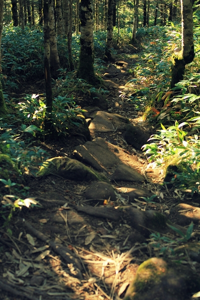 c0228945_5211858.jpg