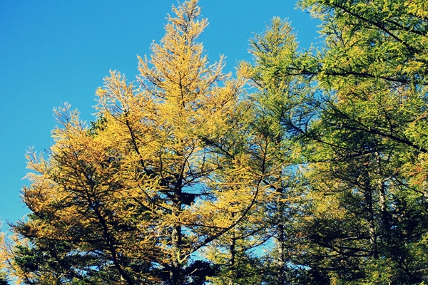 c0228945_5213442.jpg