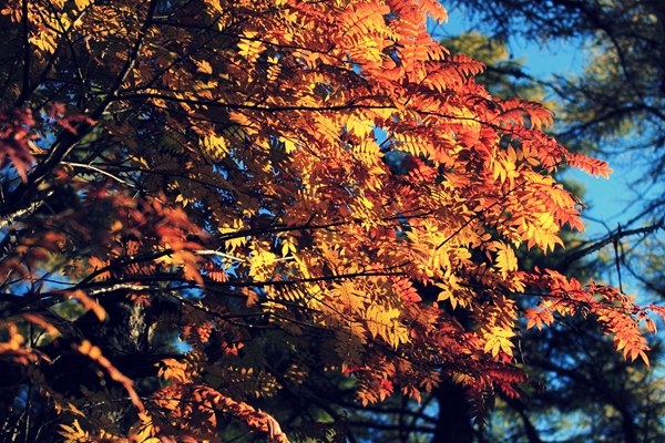c0228945_5215090.jpg
