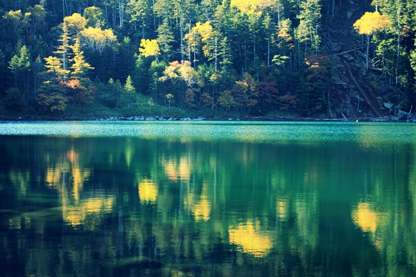 c0228945_5225250.jpg