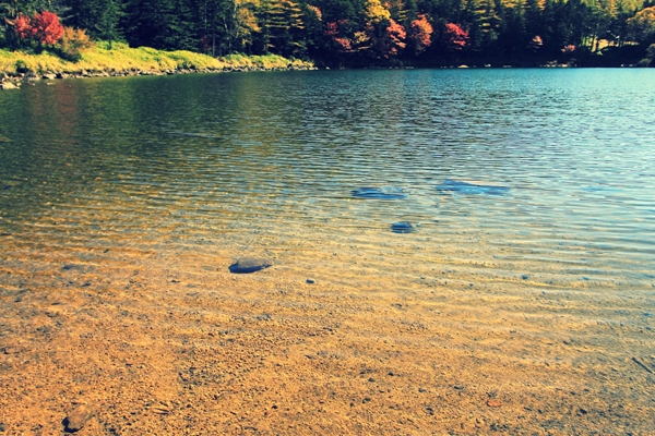 c0228945_5263854.jpg