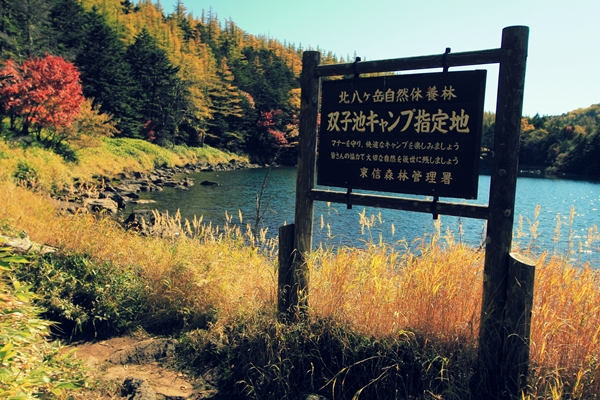 c0228945_526567.jpg