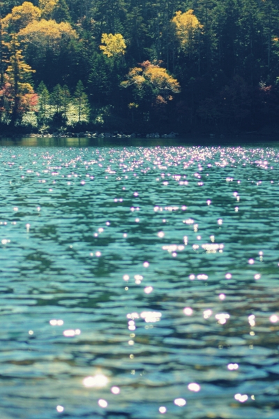 c0228945_52942.jpg