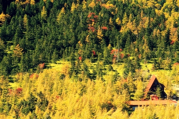 c0228945_5333227.jpg