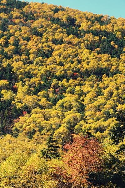 c0228945_5352227.jpg