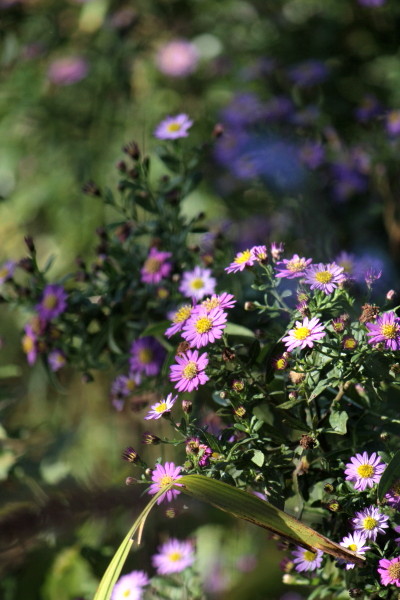 a0258549_23134883.jpg