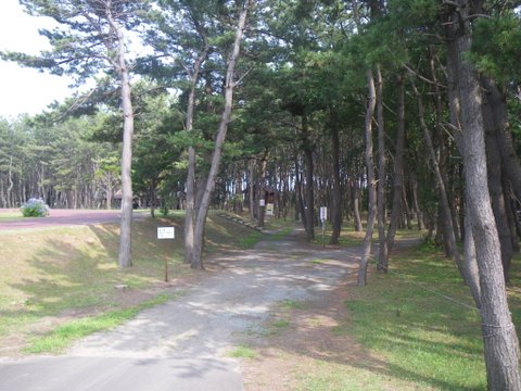 f0046250_1431554.jpg