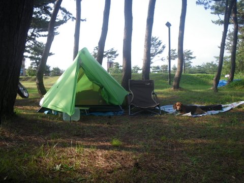 f0046250_14361637.jpg