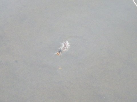 f0046250_14521151.jpg