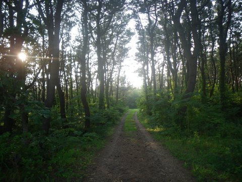 f0046250_14542962.jpg